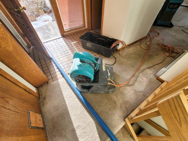 Best Water damage restoration specialists  in USA